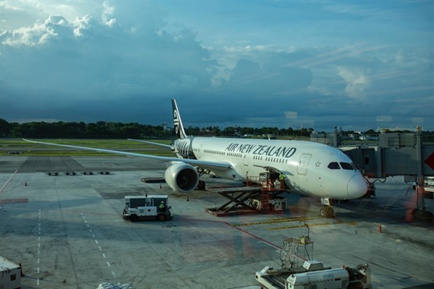 Air New Zealand launches new route linking Vietnam, Christchurch