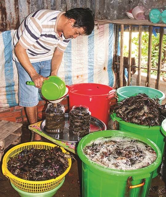 Ca Mau’s traditional sauce making recognised as national cultural heritage