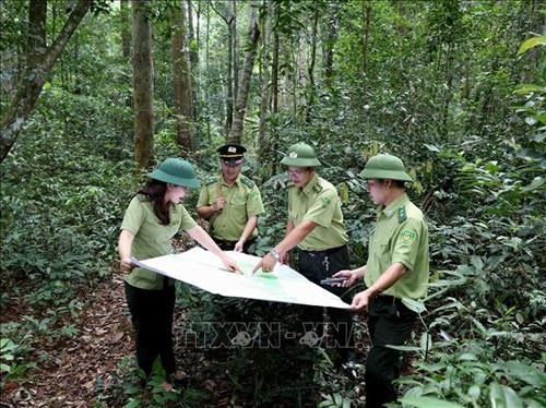 Viet Nam to boost tourism development in protective forests