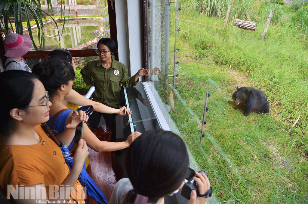 Ninh Binh Bear Sanctuary offers interesting experiences to visitors