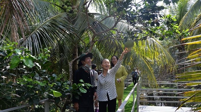 Tien Giang farmers impress visitors with green agro-tourism models