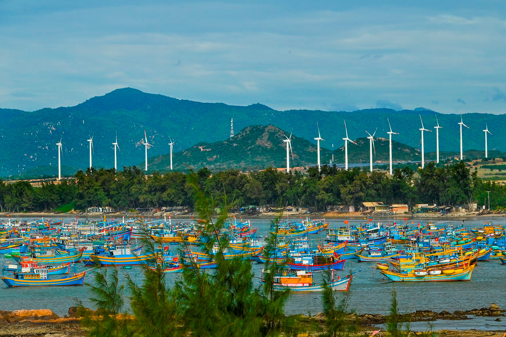 Binh Thuan wind power "forest" lures great number of tourists