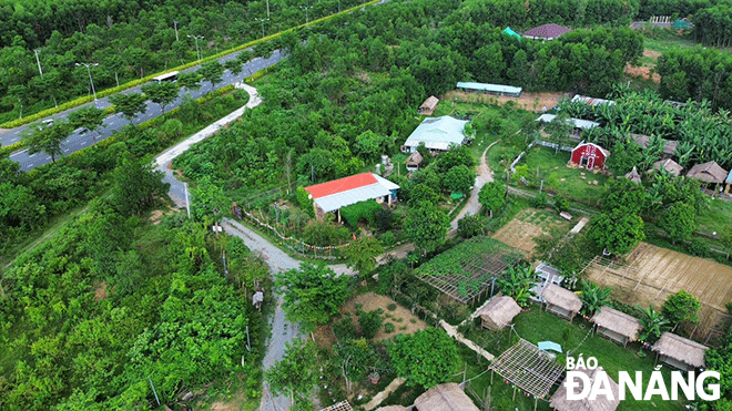 An Phu Farm - ideal venue to experience tourism combined with clean agricultural production