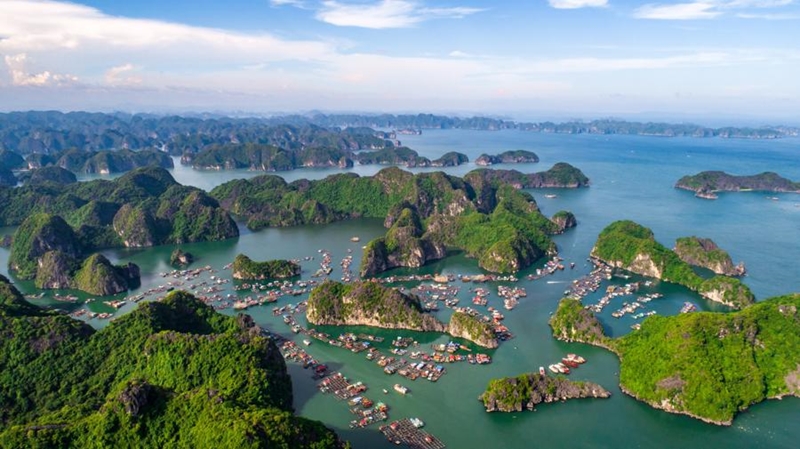 Cat Ba determines to solve ecological problem to attract tourism