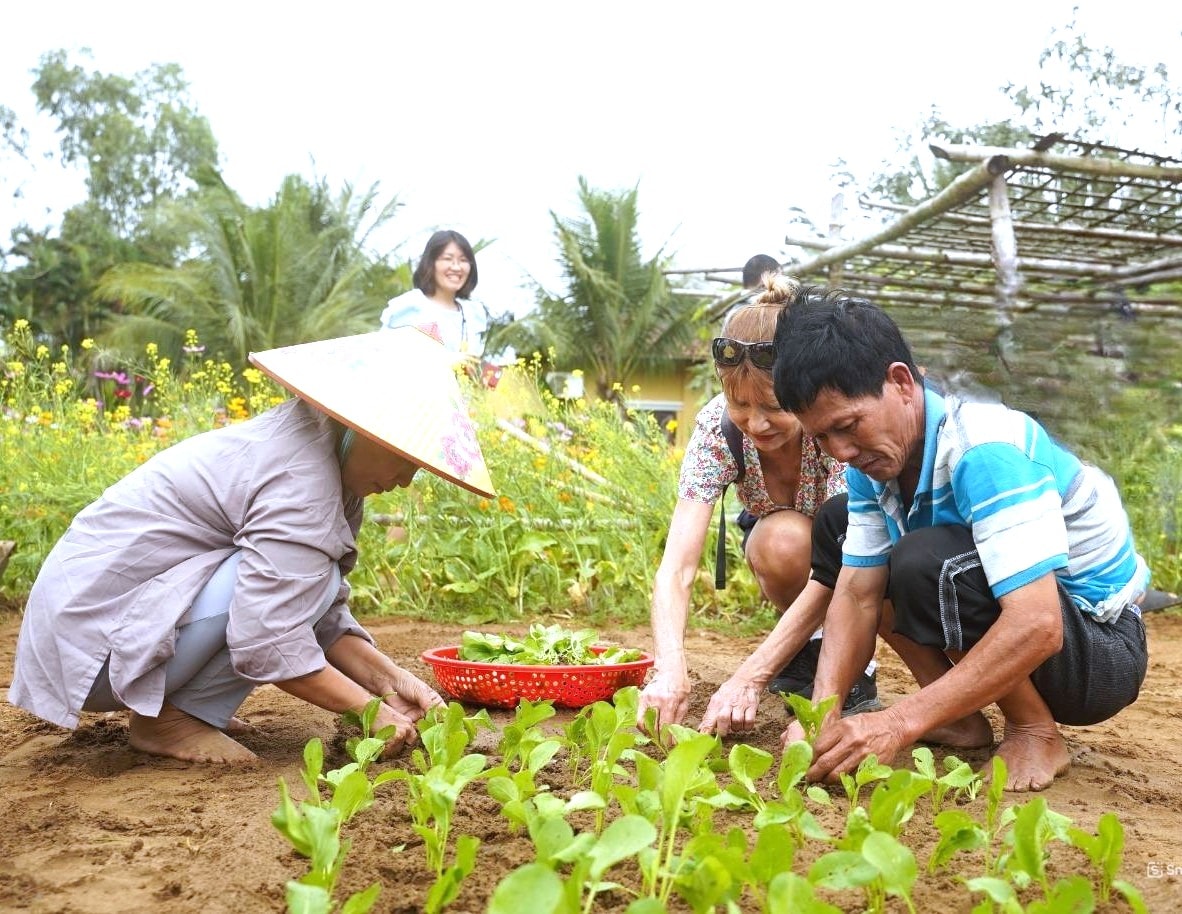 Quảng Nam: Hội An xây dựng tuyến tham quan xanh tại làng rau Trà Quế