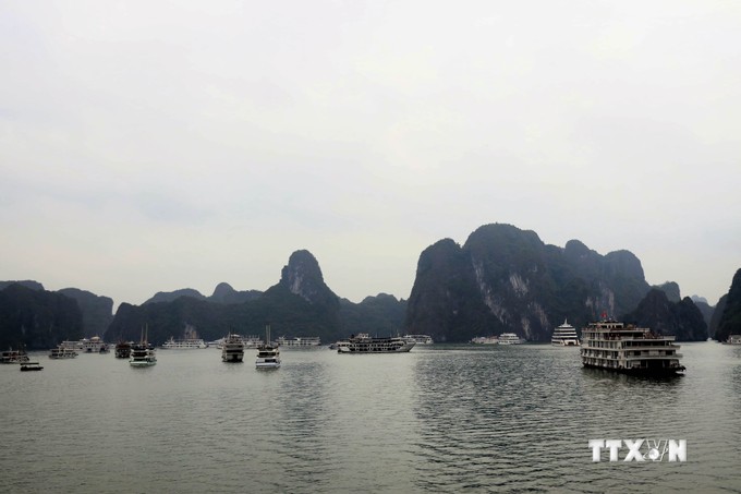 Quảng Ninh: Hạ Long xây dựng thương hiệu “Thành phố lễ hội và hoa”