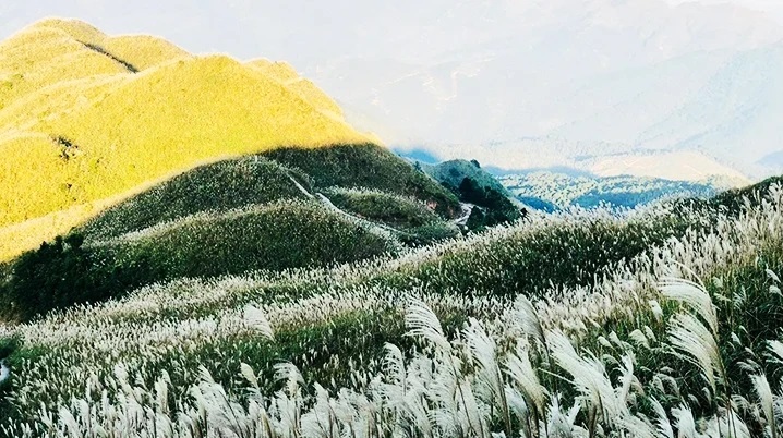 The season of white reed grass in Binh Lieu District (Quang Ninh Province)