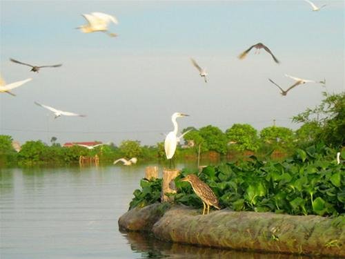 Co Island – a great painting of nature
