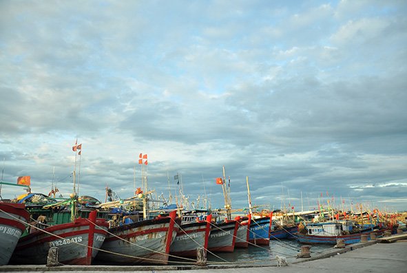 Hectic Tuy Hoa fishing port at dawn