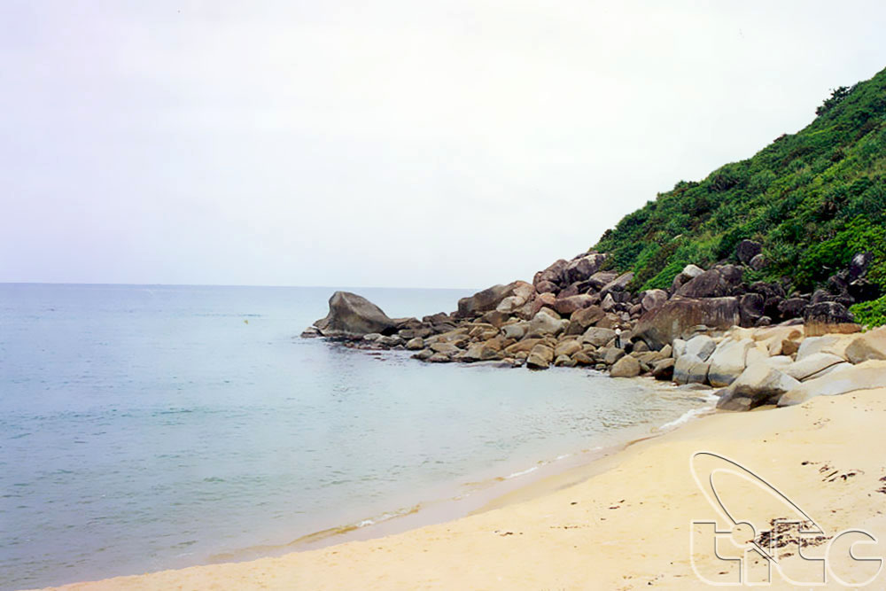 Quang Ngai’s beautiful beaches attract visitors