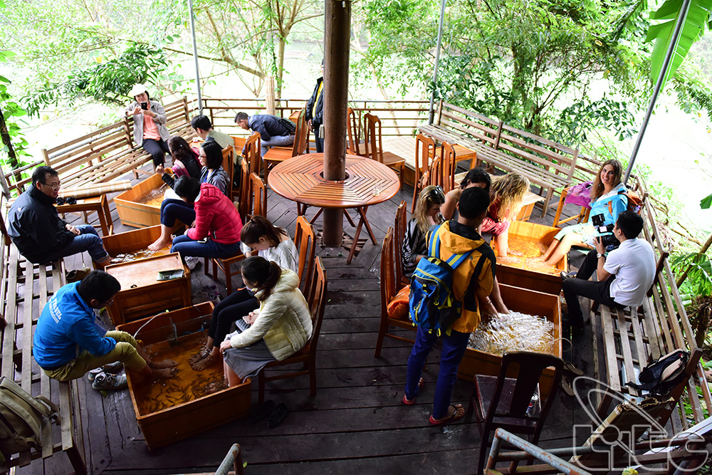 Khảo sát dịch vụ du lịch “Cá Massage chân” tại sông Chày - hang Tối (Quảng Bình)