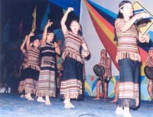 Festival showcases regional culture from southeastern Vietnam