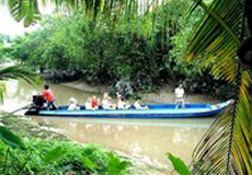 Drifting soul in canals and orchards in Binh Thuy