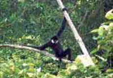 Magnificent Cuc Phuong National Park