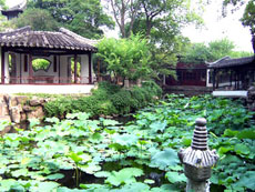 Hue offers finance to restore garden homes