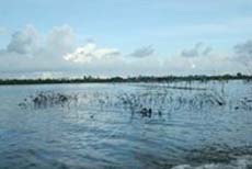 Lifeâ€™s slow rhythm in Thi Tuong Lagoon