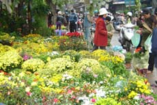 Centuries-old market keeps to tradition in centre of Ha Noi 