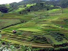 Mu Cang Chai: charming and peaceful