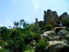 Come to Co Thach Pagoda, discover mysterious caves