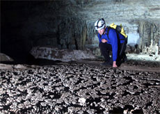 31km-long cave discovered in central Vietnam 