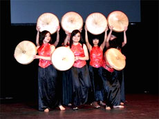 Vietnamese students join cultural gala in UK 