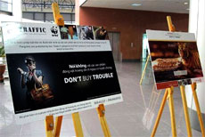 Exhibition on wild animals protection opens in Hanoi 