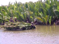 New eco-tour to Bay Mau Coconut Village 