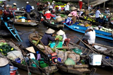 A day floating on Cai Be Market 