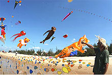 Vung Tau to host international kite festival 2010