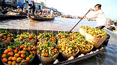 Mekong Delta launches tourism promotion campaign 