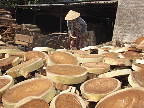 Hardship and dexterity at Dinh An chopping-board craft village