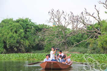 Hai Duong develops Stork Island eco-tourism