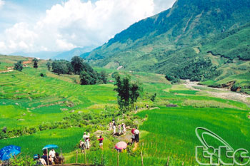Three tourist attractions in Sa Pa to be nominated as Viet Nam's records