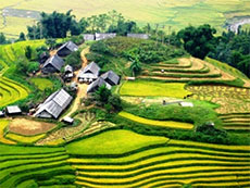 Terraced fields in Sa Pa recognized as National Relic Sites