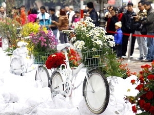 Spring flower festival to honour traditional villages in Hanoi
