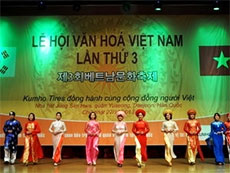  Overseas Vietnamese in RoK celebrate homeland culture 