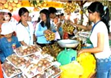 Clôture du Festival des fruits du Sud 2009 à Hô Chi Minh-Ville 