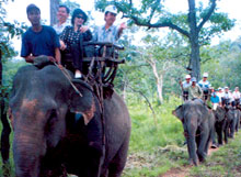 Tourisme : Tay Nguyen relié au Laos et à la Thaïlande par la route