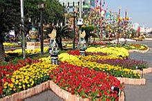 Une rue de fleurs au coeur de la mégapole du Sud