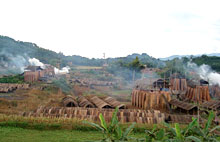 Combats de buffles à Tuyên Quang