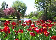 Le Vietnam participe à la Fête de la tulipe d'Ottawa 2009 