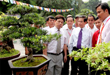 Exposition de plantes et pierres d'agrément  au pied de la statue de Ly Thai Tô