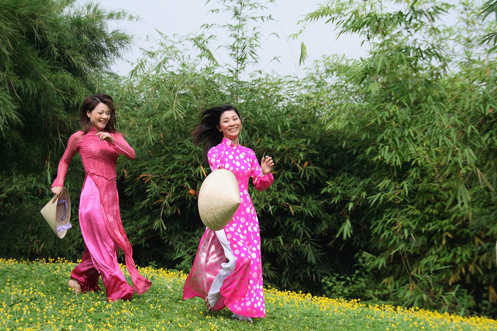 L'Ã©comusÃ©e de Phu An Ã  Binh Duong, collection de variÃ©tÃ©s de bambou 