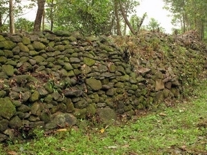 Truong Luy, l’autre grande muraille d’Asie