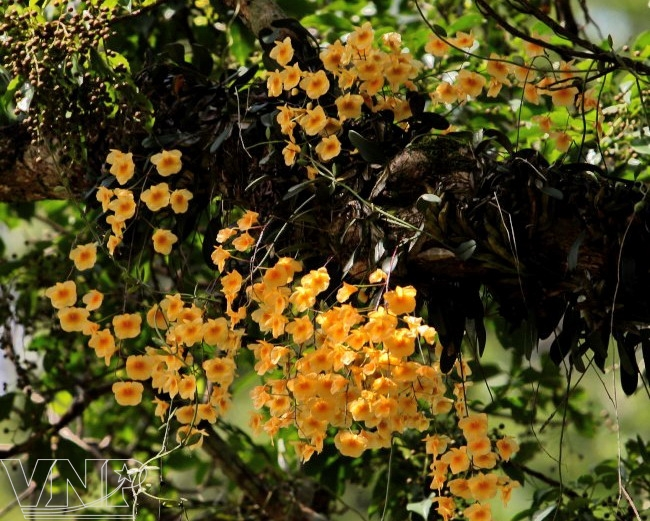 À la découverte de la Réserve naturelle de Pù Luông