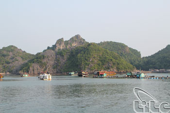 Hai Phong: ouverture du tourisme de Cat Ba 2013