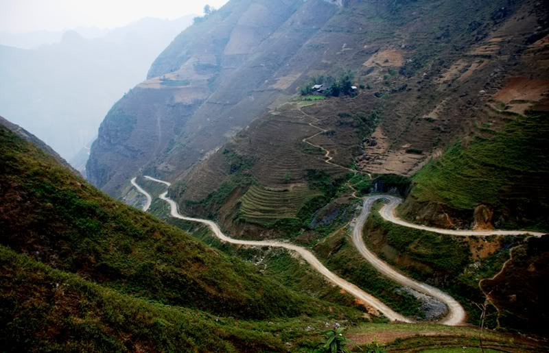 Quatre cols portant le mot cheval