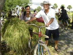 Farmtour thu hút du khách 