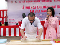 Lễ hội hoa anh đào 2009 