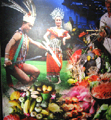 Ấn tượng Tuần lễ văn hóa Việt tại Malaysia
